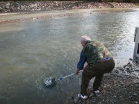 /album/zarybnovanie-pstruhom-duhovym-pd2-200-kg-13-4-2016/cimg1910-jpg/