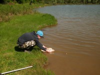 /album/detske-preteky-4-5-2014-vn-vysnyorlik/cimg2161-jpg/